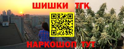 прущие грибы Сланцы