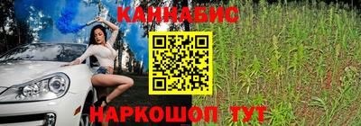 прущие грибы Сланцы
