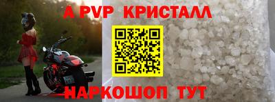 прущие грибы Сланцы