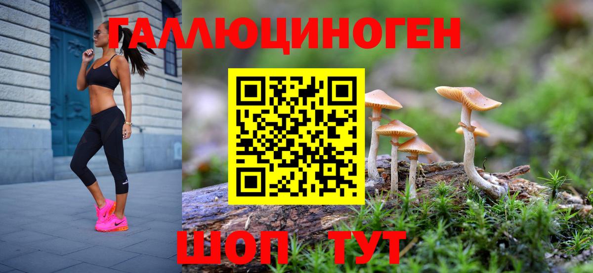 наркошоп  Вход с VPN  Саратов  Галлюциногенные грибы Psilocybine cubensis 